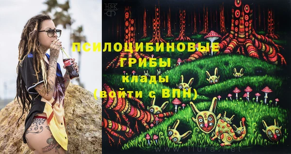 2c-b Белоозёрский