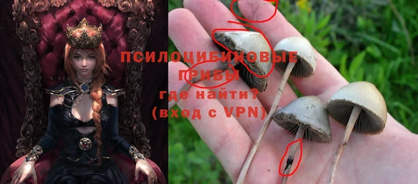 2c-b Белоозёрский
