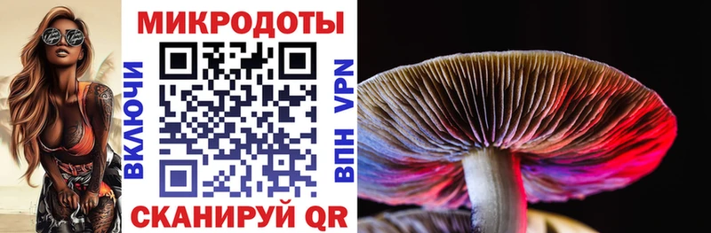 Галлюциногенные грибы мицелий  Гремячинск 